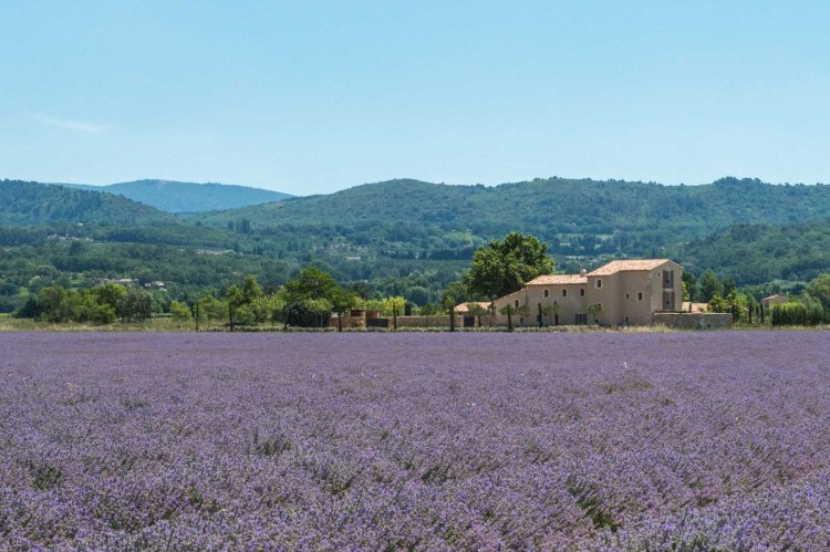 Provence Luxus Ferienhaus Mieten 2