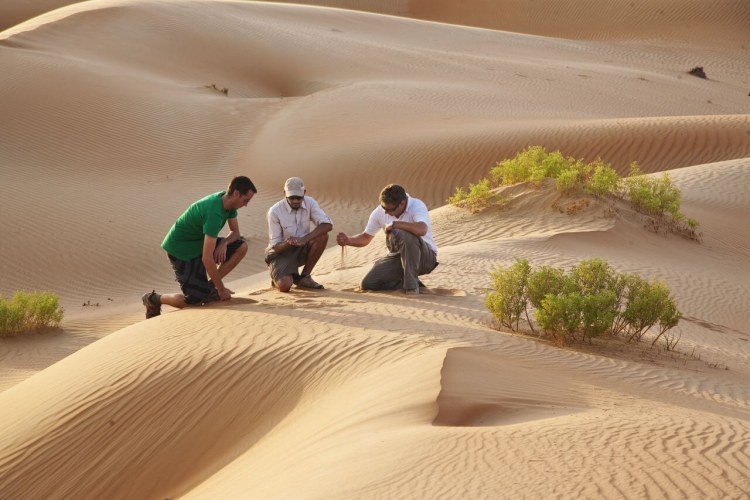 Qasr Al Sarab Desert Resort By Anantara 16