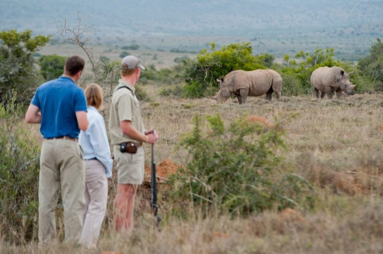 South Africa Kwandwe Private Game Reserve Fort House 14. Kwandwe Fort House Walking Safaris 1