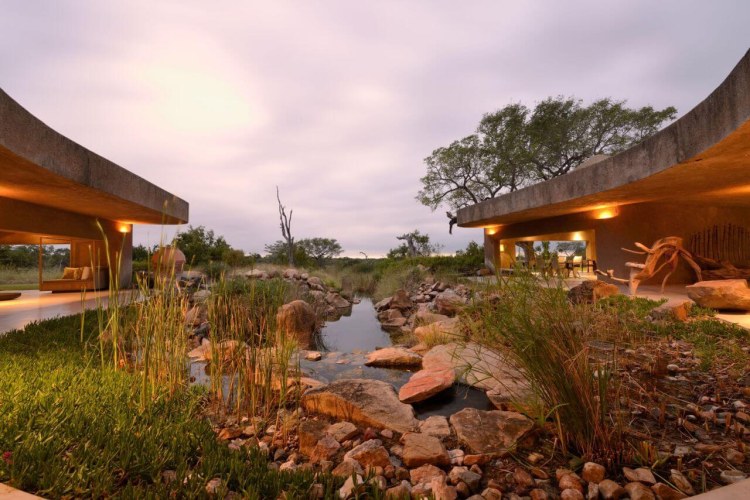 Sabi Sabi Earth Lodge (15)