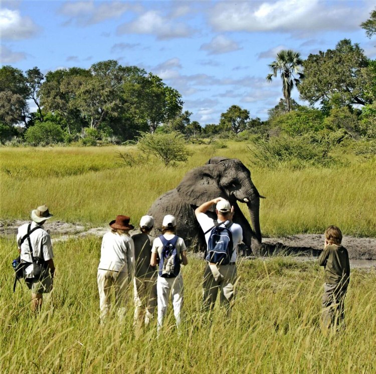 Africa; Botswana; Okavango Delta; Sanctuary Stanley's Camp