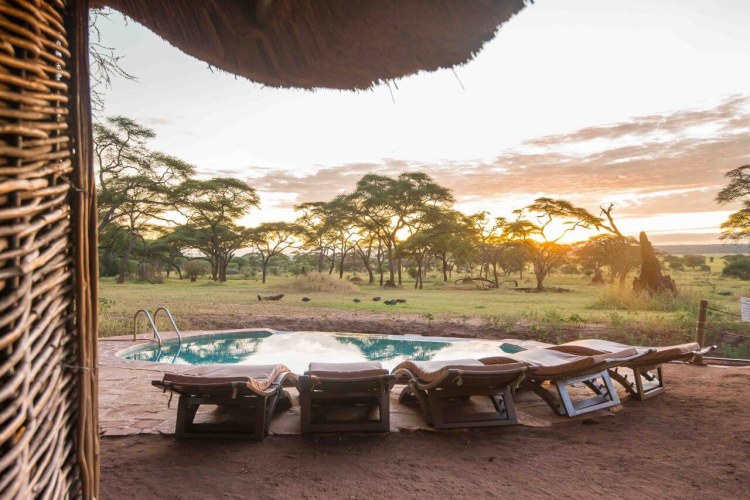 Africa; Tanzania; Sanctuary Swala; Pool Sunrise