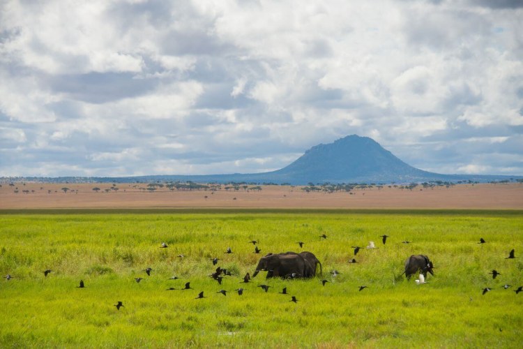 Africa; Tanzania; Sanctuary Swala; Scenery