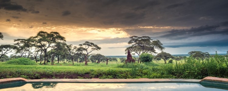Africa; Tanzania; Tarangire National Park; Sanctuary Swala; Pool