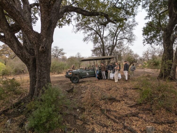 Scops Rest Bush Villa Luxus Lodge Südafrika Mieten Pirschfahrten