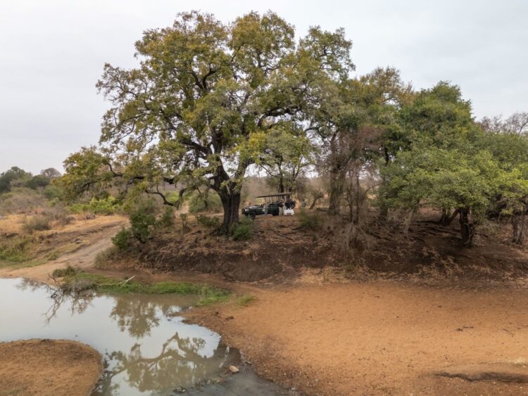 Scops Rest Bush Villa Luxus Lodge Südafrika Mieten Safari