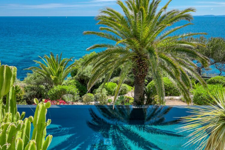 Seafront Villa Elodie Luxus Ferienhaus Cote D Azur Mieten Palmen