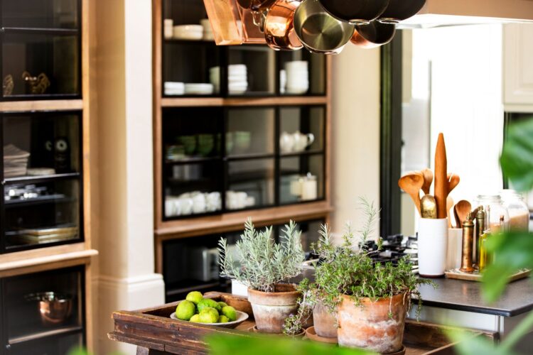 Segera Farmhouse Safari Lodge Kenia Mieten Kochen