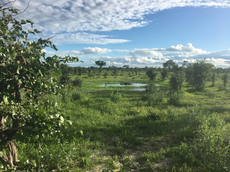 Selinda Camp (12)