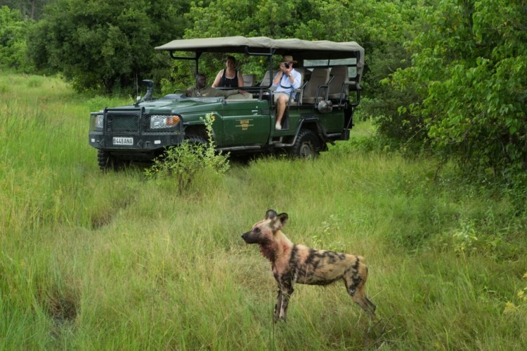 Selinda Camp (8)