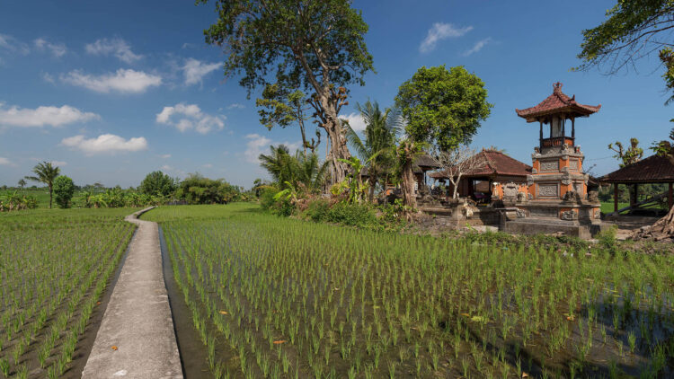 Seseh Beach Villas A Path Through The Ricefields