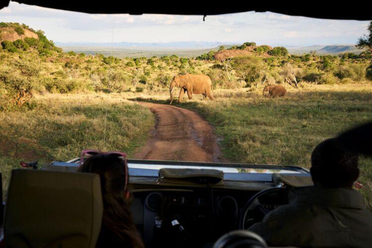 Suyian Homestead Luxus Safari Villa Kenia Mieten Elefanten