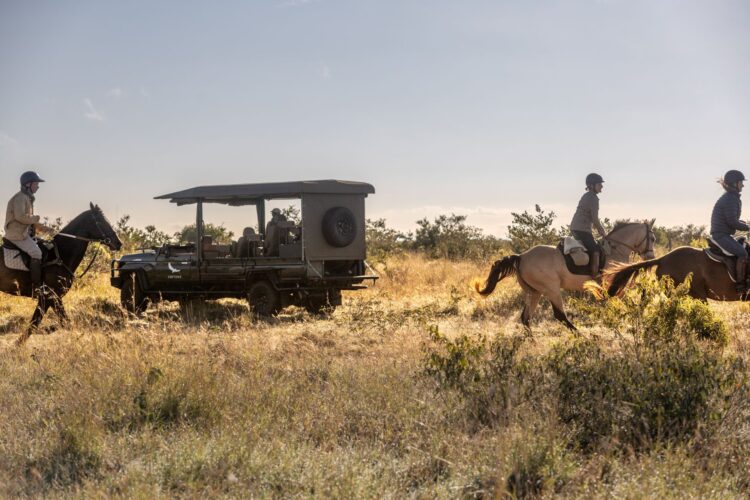 Suyian Homestead Luxus Safari Villa Kenia Mieten Safari Reiten