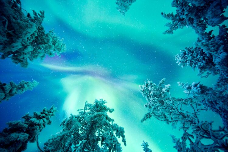 Taivas Lodge Luxus Lodge Lappland Mieten Himmel