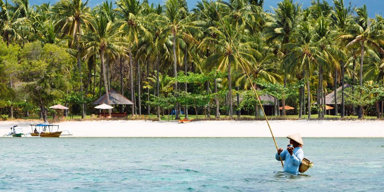 Tanjung Paradise Lombok Fischer