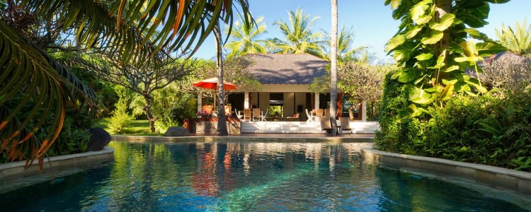 Tanjung Paradise Lombok Pool