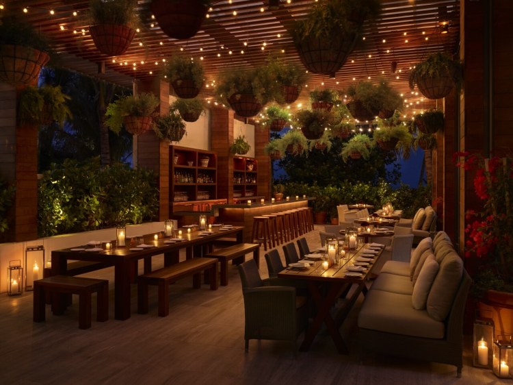 The Miami Beach Edition Tropicale1
