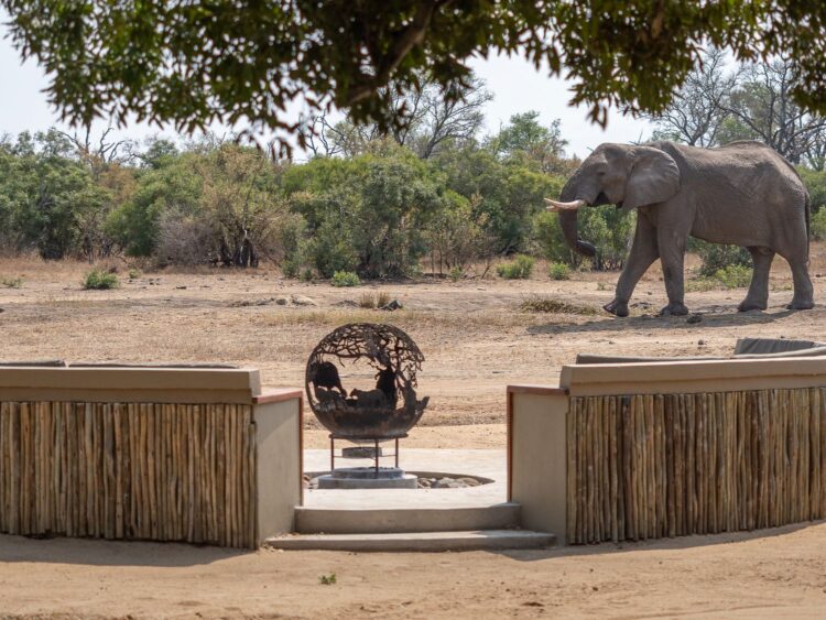 Tintswalo Manor Luxus Safari Lodge Südafrika Mieten Elefanten