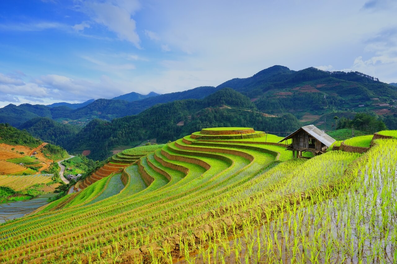 Reisef hrer Vietnam Reisetipps Informationen LANDMARK