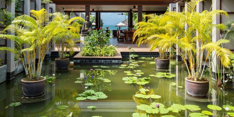 Villa Baan Puri Luxus Villa Koh Samui Thailand Idyllischer Teich