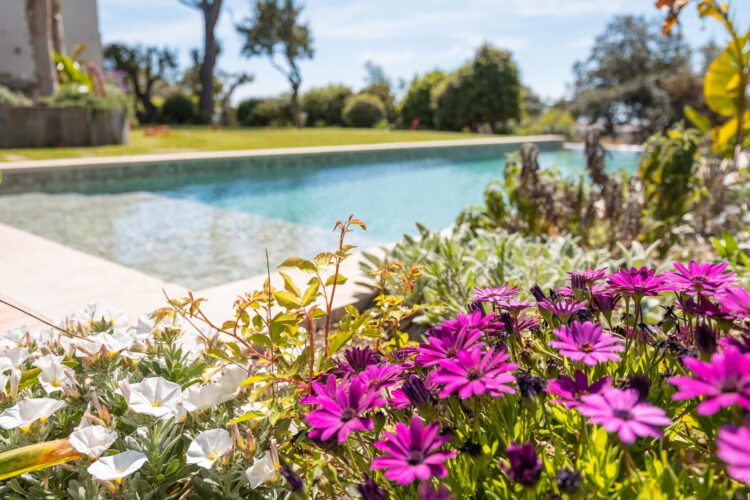 Villa Boullabaisse Luxus Ferienhaus Cote D Azur Mieten Blumen