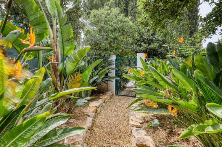 Villa Delphine Luxus Ferienhaus Cote D Azur Mieten Garten