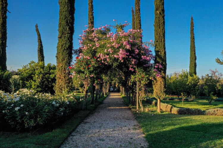 Villa Douce Amande Luxus Ferienvilla Marokko Mieten Blumen