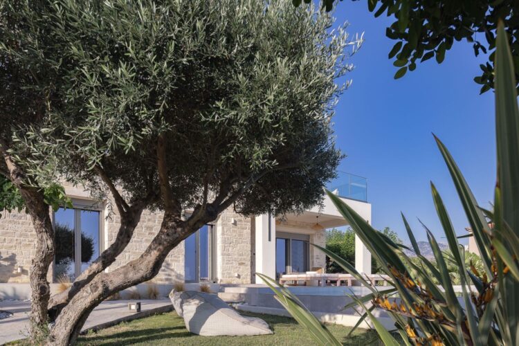 Villa Dramia Luxus Ferienhaus Kreta Olivenbaum