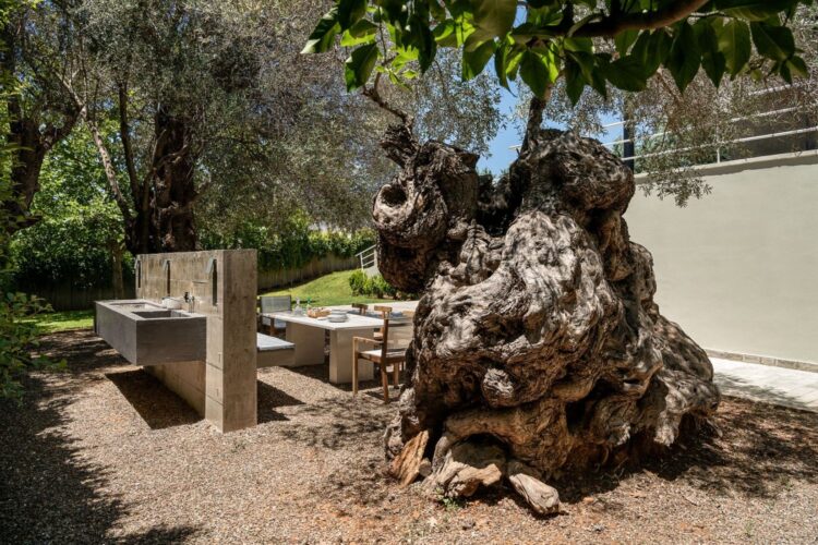 Villa Epta Luxus Ferienhaus Kreta Mieten Baum