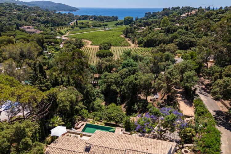 Villa Heraclea Luxus Ferienhaus Cote D Azur Mieten Umgebung