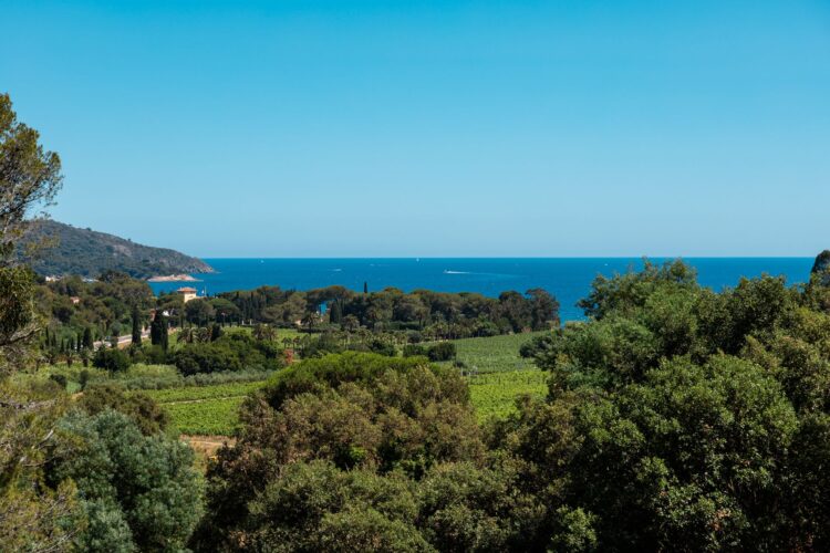 Villa Heraclea Luxus Ferienhaus Cote D Azur Mieten View