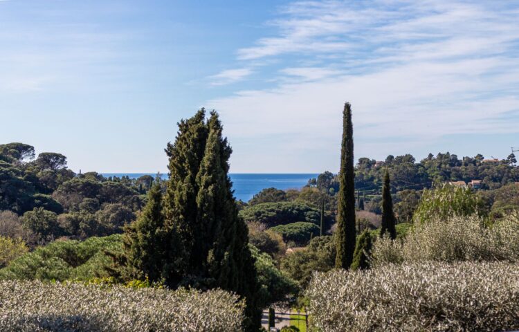 Villa La Boheme Luxus Ferienhaus Cote D Azur Mieten Meerblick