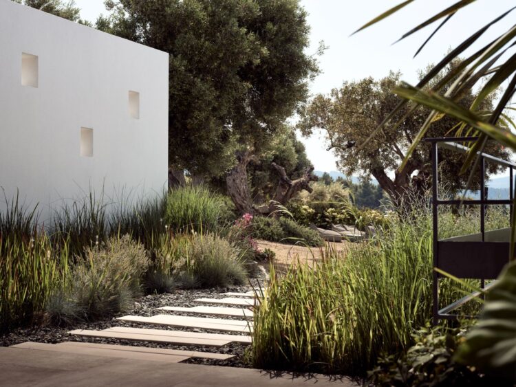 Villa Lagomadra Luxus Ferienvilla Chalikidiki Mieten Pflanzen