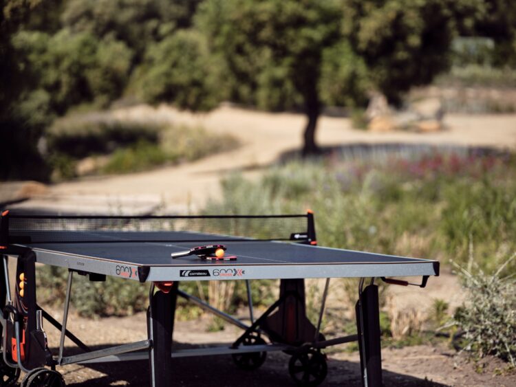 Villa Lagomadra Luxus Ferienvilla Chalikidiki Mieten Tischtennis