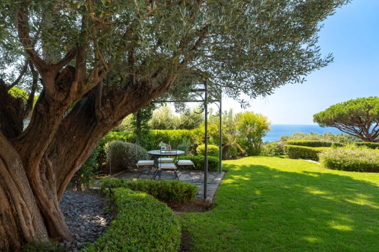Villa Lily Luxus Ferienhaus Cote D Azur Mieten Laube