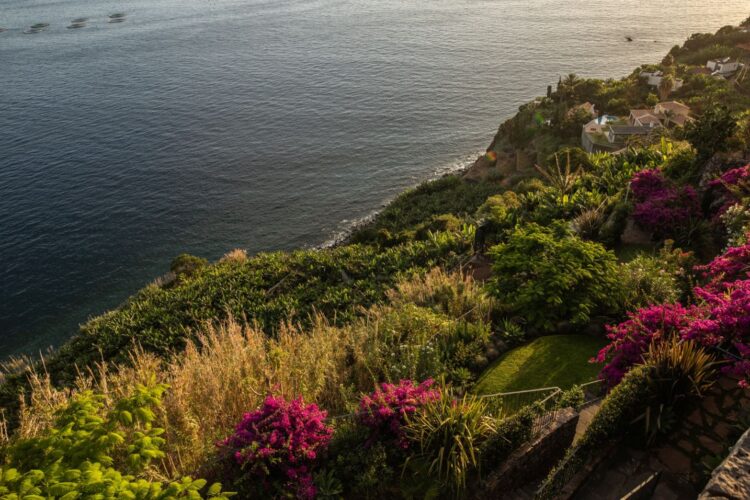 Villa Madeira Luxus Ferienhaus Madeira Portugal Mieten Meerblick