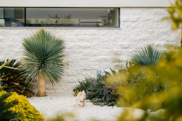 Villa Magnolia Luxus Ferienhaus Kroatien Mieten Garten