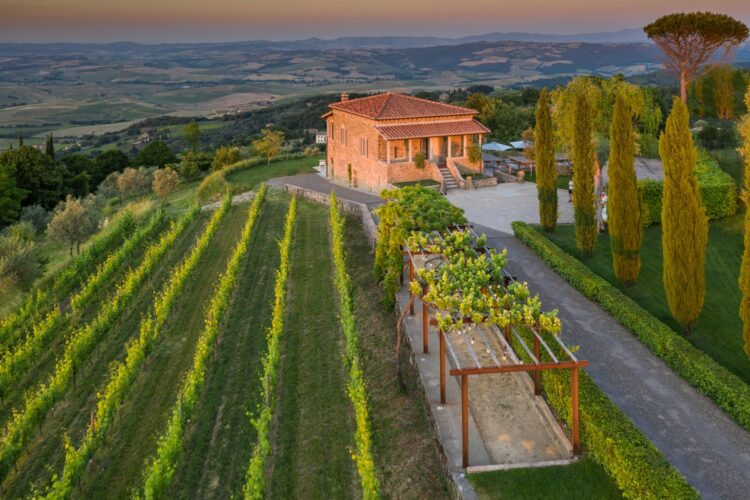 Villa Montalcino Luxus Ferienhaus Toskana Mieten Weinberg