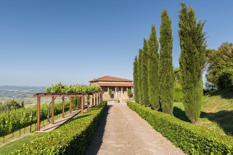 Villa Montalcino Luxus Ferienhaus Toskana Mieten Zufahrt