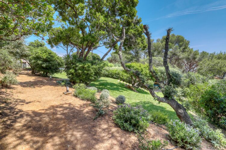 Villa Port Cros Luxus Ferienhaus Cote D Azur Mieten Garten