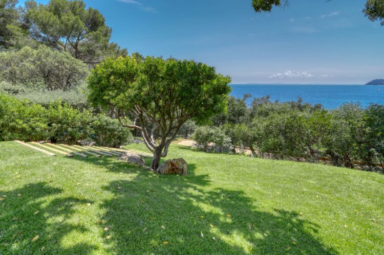 Villa Port Cros Luxus Ferienhaus Cote D Azur Mieten Rasen