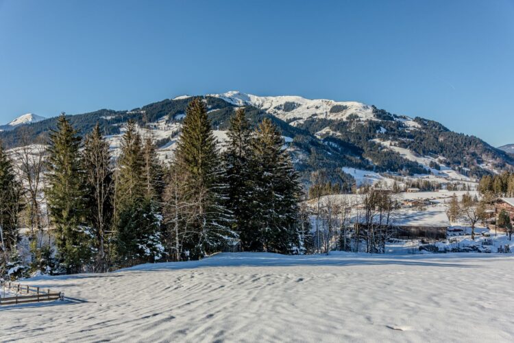 Wellness Chalet Mountain Luxus Ferienhaus Österreich Kitzbühel Mieten Ausblick