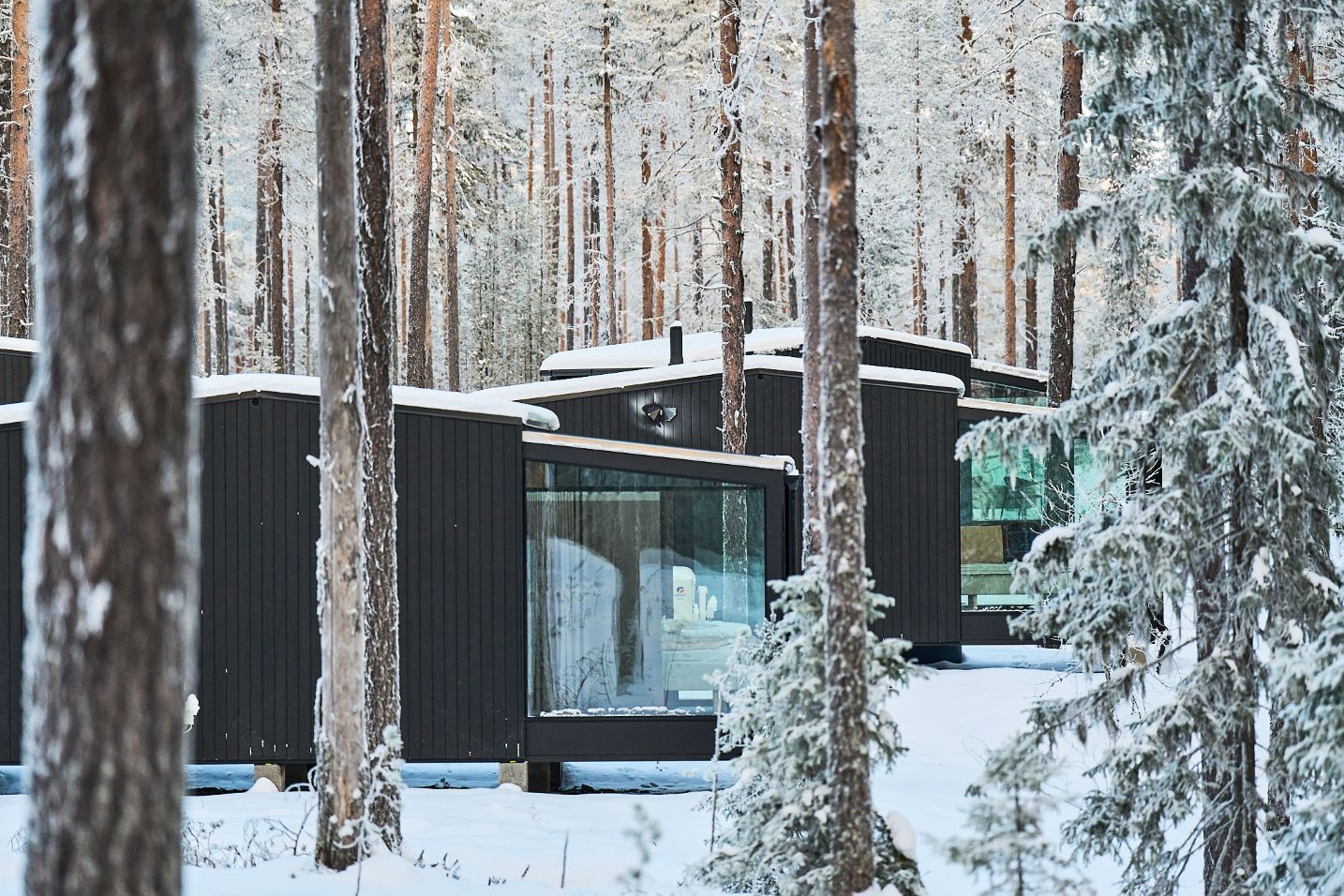 Wilderness Lodge Luxus Ferienhaus Lappland Mieten Glas Iglu