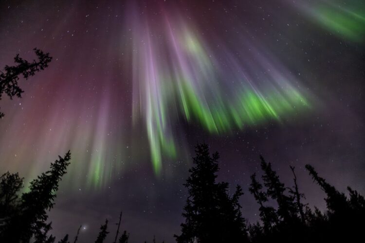 Wilderness Lodge Luxus Ferienhaus Lappland Mieten Polarlichter