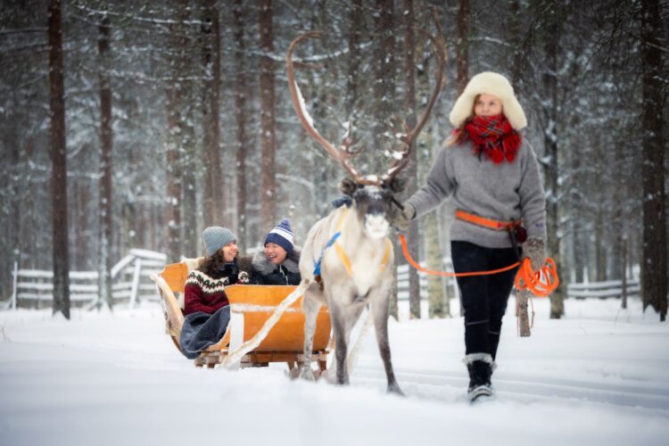 Wilderness Lodge Luxus Ferienhaus Lappland Mieten Schlitten