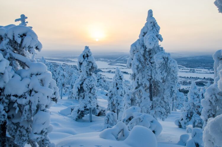 Wilderness Lodge Luxus Ferienhaus Lappland Mieten Winter