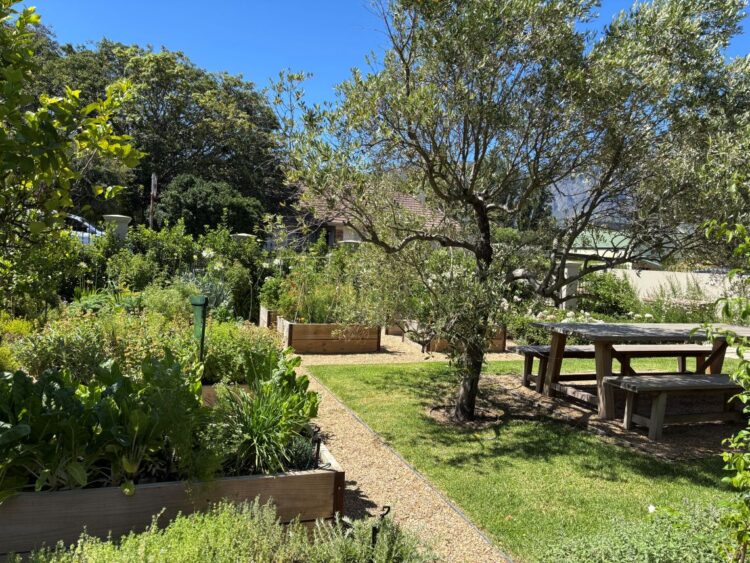 Winelands Escape Luxus Ferienvilla Franschhoek Südafrika Mieten Kräutergarten
