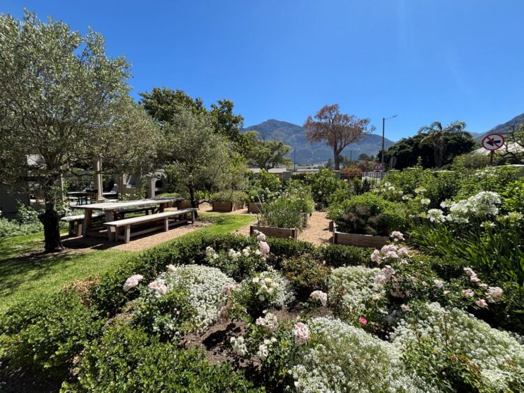 Winelands Escape Luxus Ferienvilla Franschhoek Südafrika Mieten Rosen