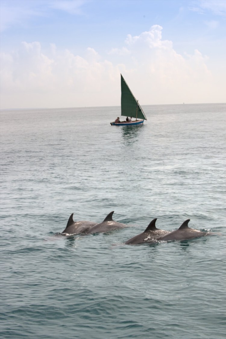 Andbeyond Benguerra Island 12