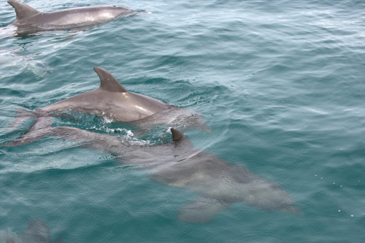 Andbeyond Benguerra Island 13